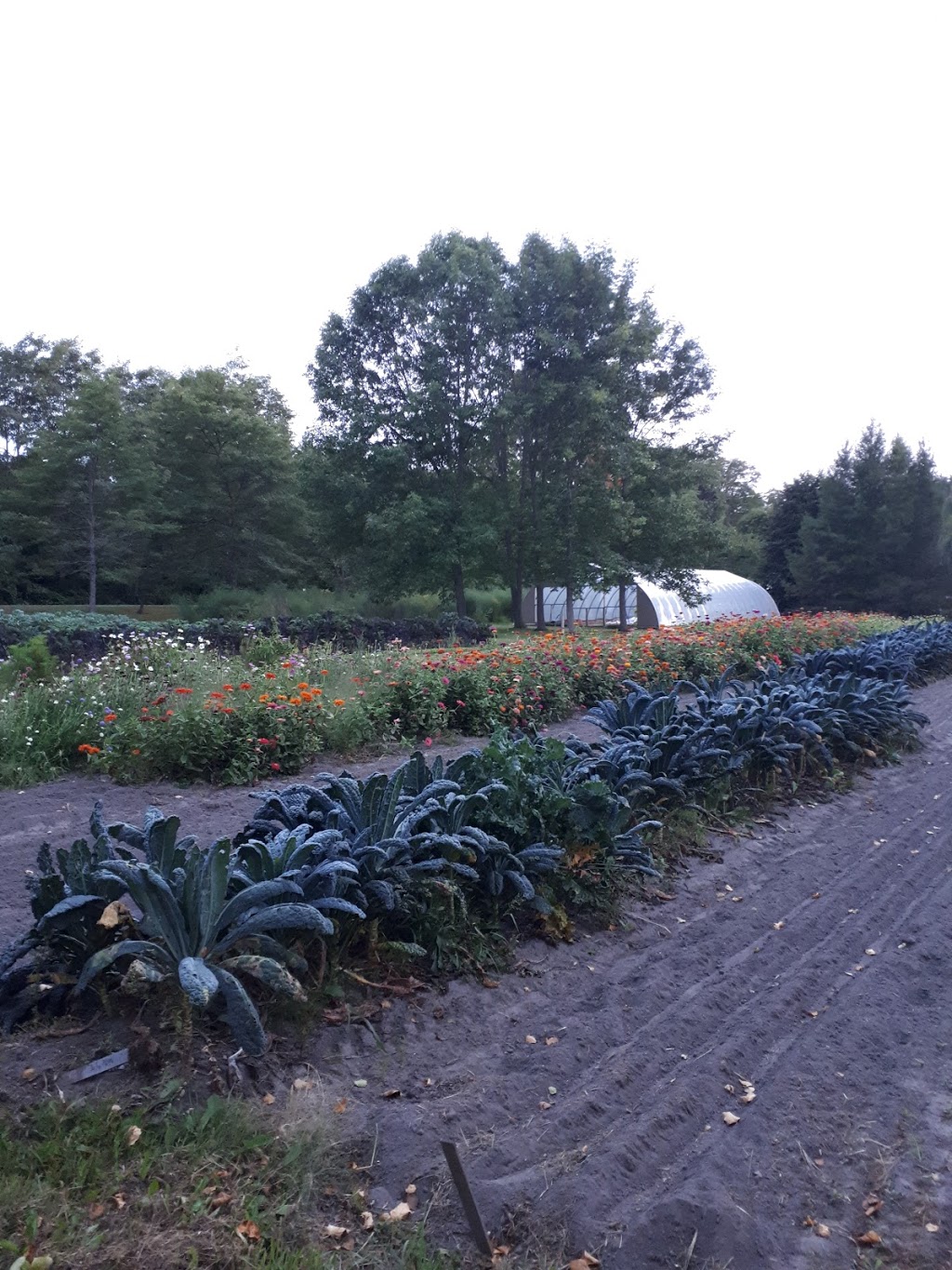 Wicklow Way | 188 Lakeport Rd, Colborne, ON K0K 1S0, Canada | Phone: (905) 269-0340