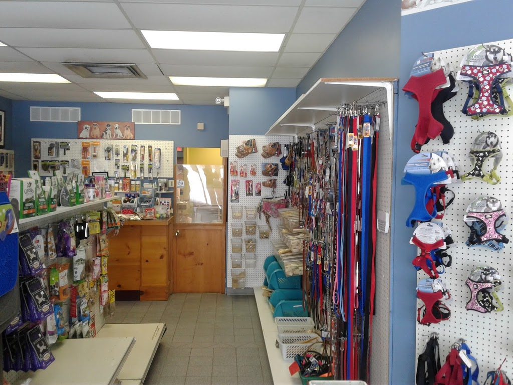 Auberge Canine Et Feline | 372 Chemin de la Grande-Côte, Boisbriand, QC J7G 1B1, Canada | Phone: (450) 437-1500