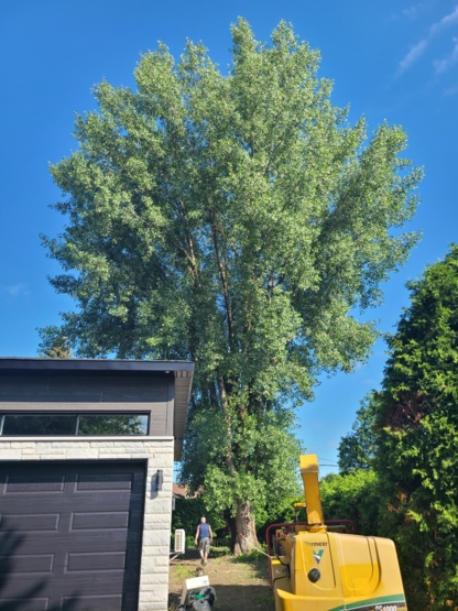 Emondage FL | 1341 Rue Principale, Île-aux-Noix, QC J0J 1G0, Canada | Phone: (514) 691-3099