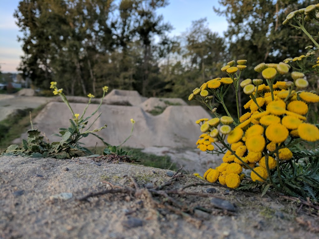 Bellingham BMX Dirt Jump Park | Puget St, Bellingham, WA 98229, USA