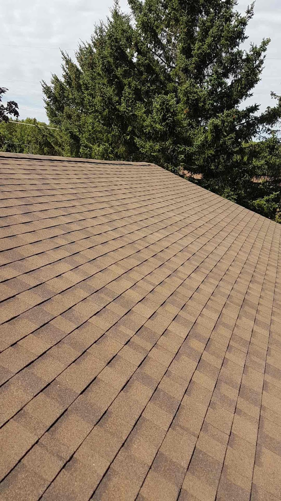 Elite Roofing - Roof Edge | 11 Pheasant St, Moncton, NB E1H 2Z3, Canada | Phone: (506) 850-4680