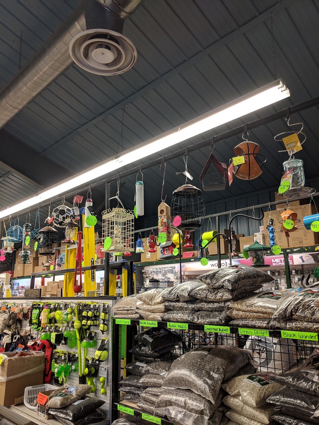 Morrows Of Drumbo | 50 Wilmot N, Drumbo, ON N0J 1G0, Canada | Phone: (519) 463-5332