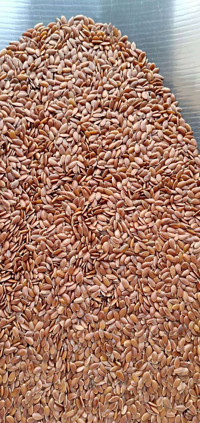 Manitou Seed Cleaning | SK-2, Young, SK S0K 4Y0, Canada | Phone: (306) 716-6216