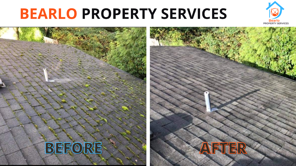 Bearlo Property Services | 4443 Carson St, Burnaby, BC V5J 2Y3, Canada | Phone: (250) 415-8070