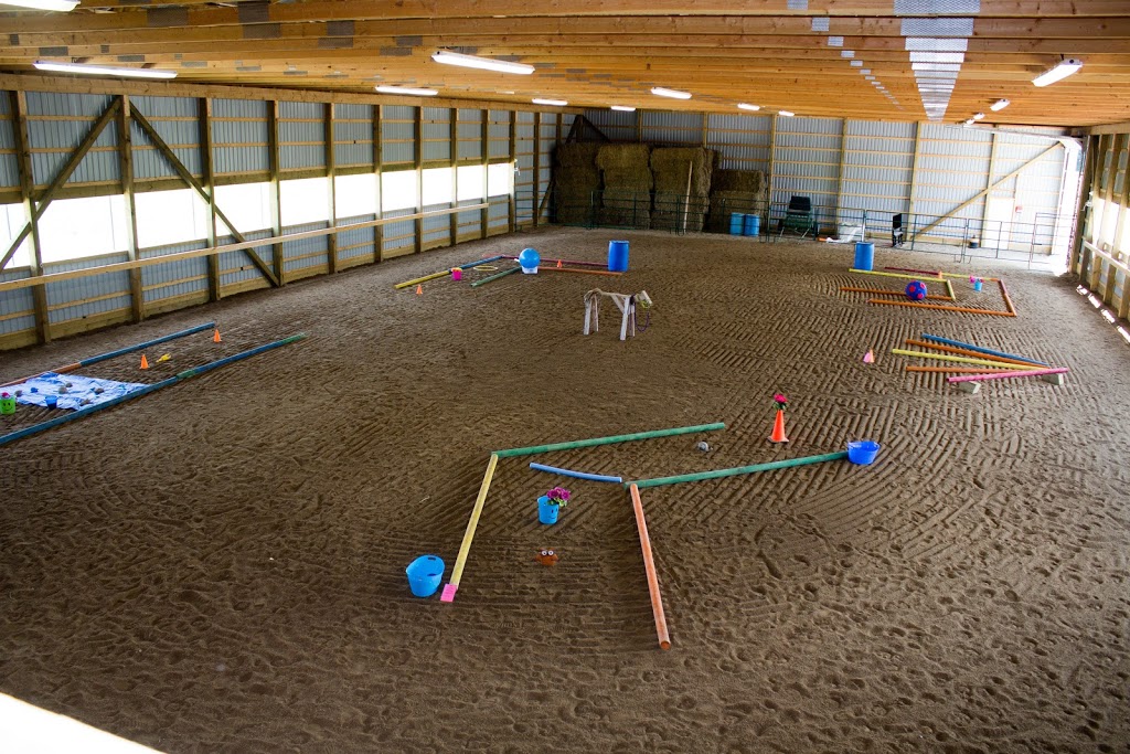 Leading Edge Equine Academy | 515588 11 Line, Woodstock, ON N4S 7V7, Canada | Phone: (226) 749-4830