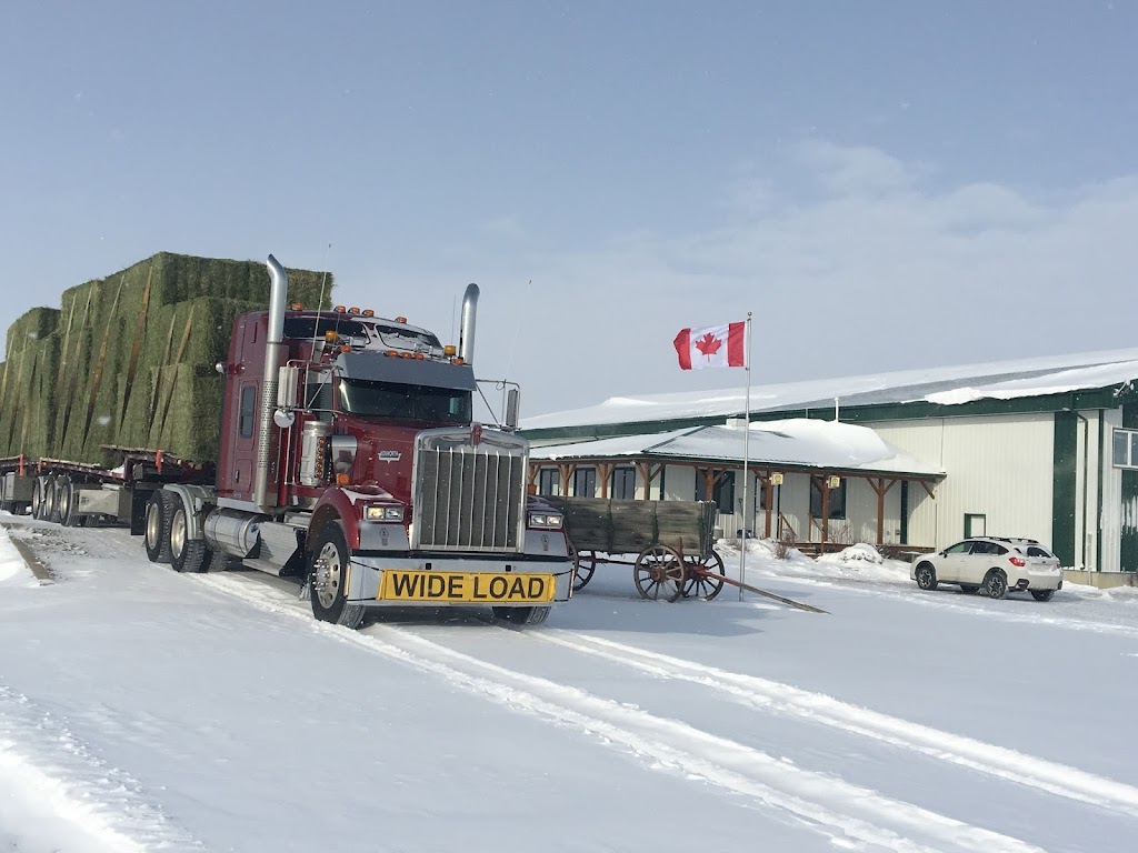 Vandenberg Hay Farms | AB-519, Nobleford, AB T0L 1S0, Canada | Phone: (403) 824-3010
