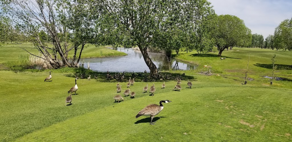 Sandpiper Golf & Country Club | 26029 Meadowview Dr, Alberta T8T 0K8, Canada | Phone: (780) 408-8687