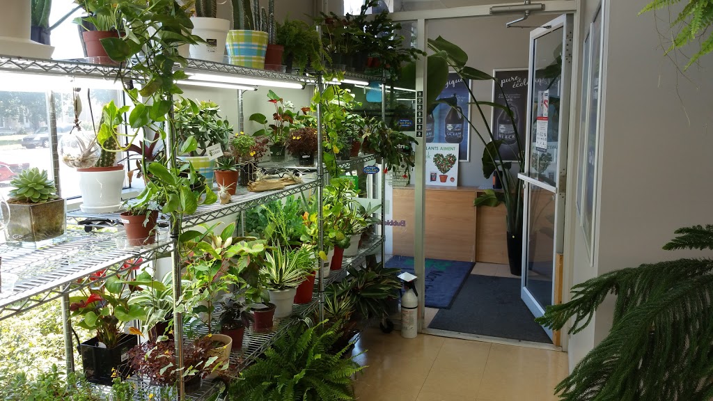 My Urban Garden Trois-Rivières | 6157 Rue Corbeil, Trois-Rivières, QC G8Z 4P8, Canada | Phone: (819) 372-0500