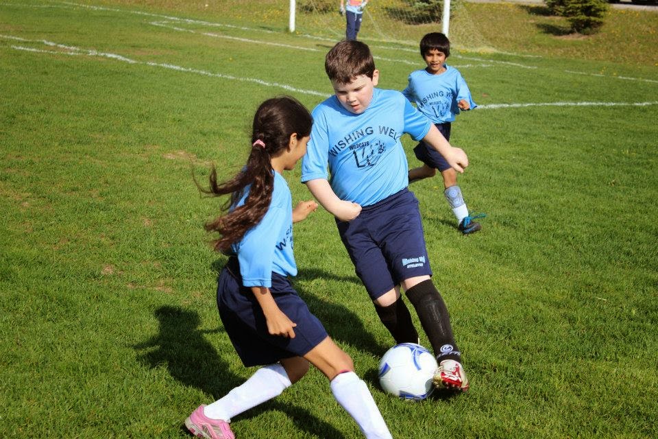 Wishing Well Schools | 455 Cochrane Dr, Markham, ON L3R 9R3, Canada | Phone: (905) 470-9751