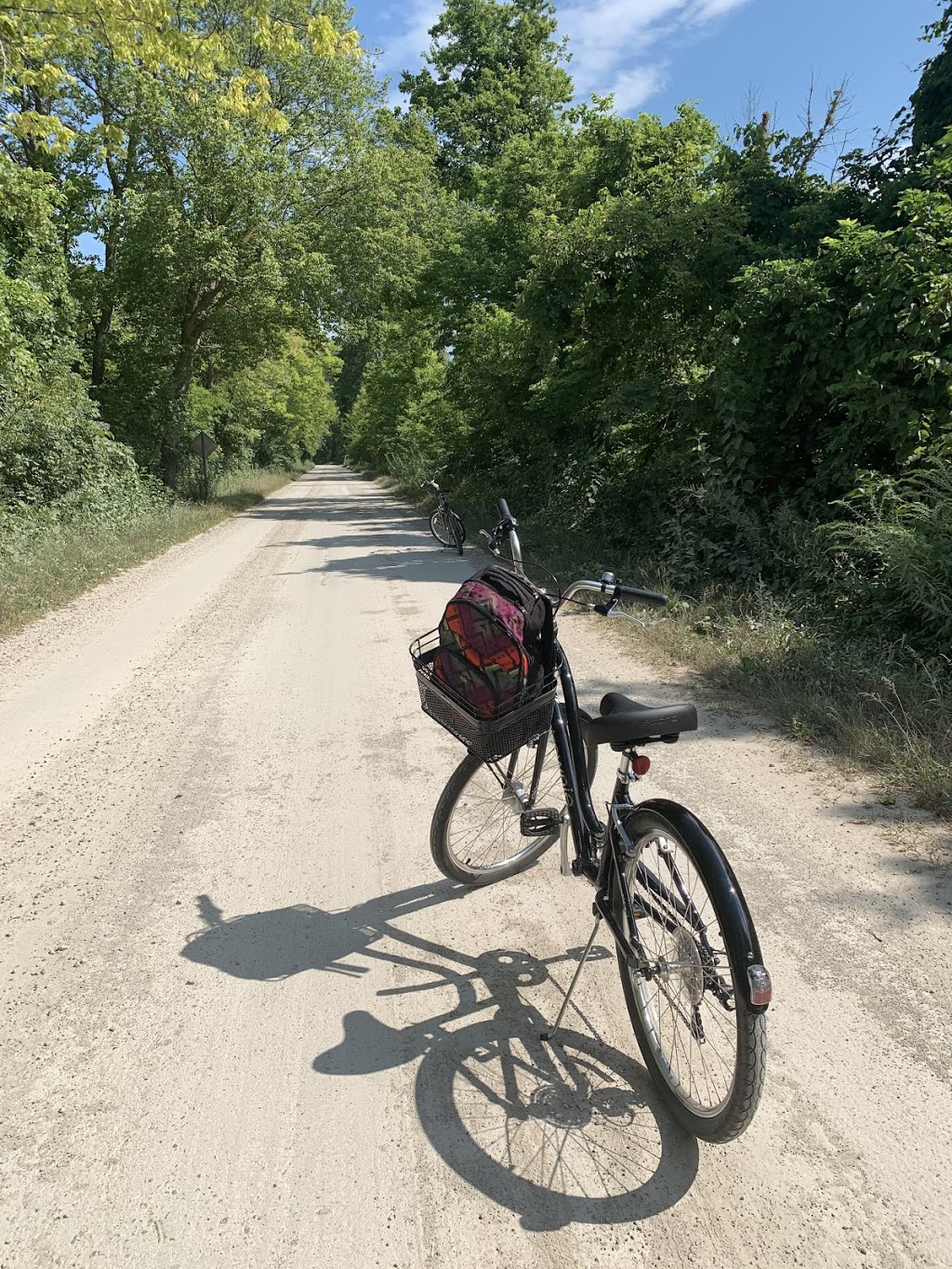 Comfortech Bicycle Rental | 1023 W Shore Rd, Pelee Island, ON N0R 1M0, Canada | Phone: (519) 724-2828