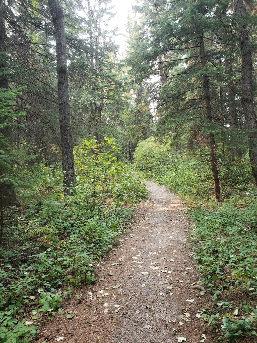 Weaselhead | 9100 Oakmount Dr SW, Calgary, AB T2V 4X6, Canada