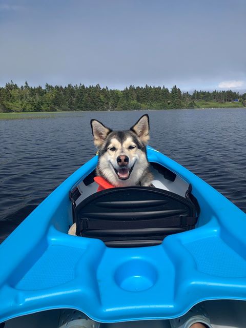 By The Bay Kayak Rentals | 1296 Cow Bay Rd, Cow Bay, NS B3G 1L4, Canada | Phone: (902) 221-4598