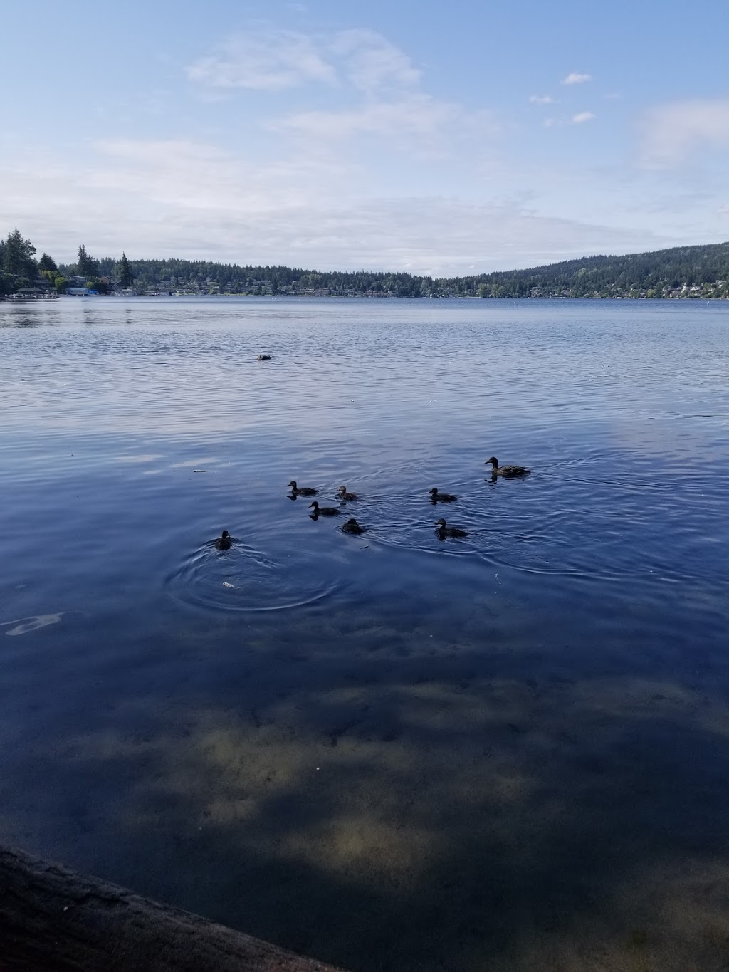 Euclid Park | 1650 Euclid Ave, Bellingham, WA 98229, USA | Phone: (360) 778-7000