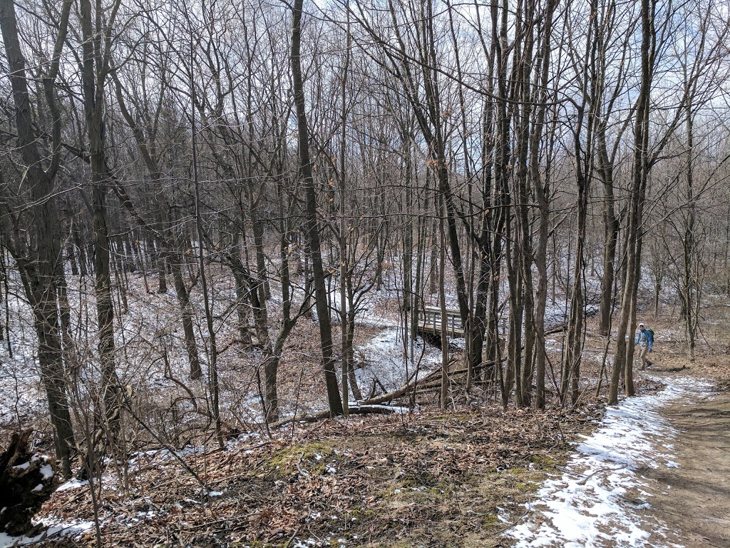 Cavendish Park | 2155 Cavendish Dr, Burlington, ON L7P 1Z6, Canada | Phone: (905) 335-7738