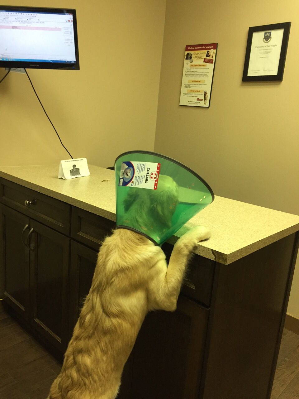 Cambrian Animal Hospital Ltd | 765 Northmount Dr NW, Calgary, AB T2L 0A1, Canada | Phone: (403) 457-3911