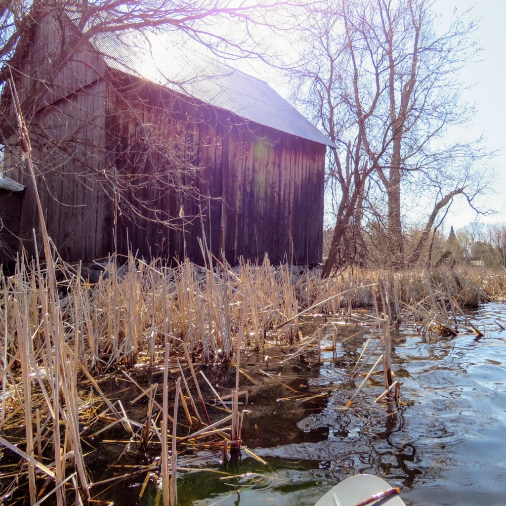 Clayton Taylor Park | Mississippi Mills, ON K0A 1P0, Canada