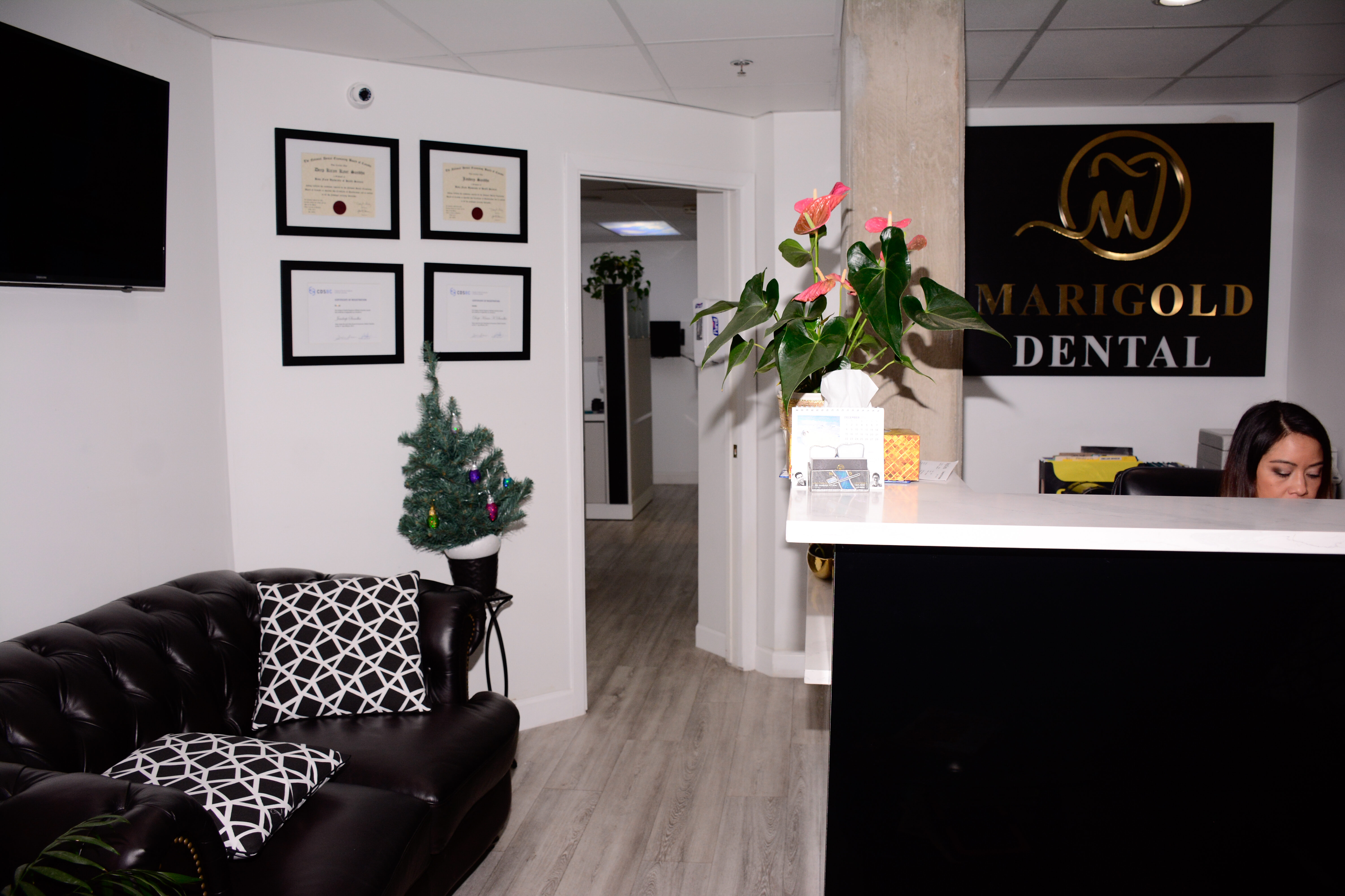 Marigold Dental Clinic | 12155 191b St #8, Pitt Meadows, BC V3Y 2S2, Canada | Phone: (604) 409-4511