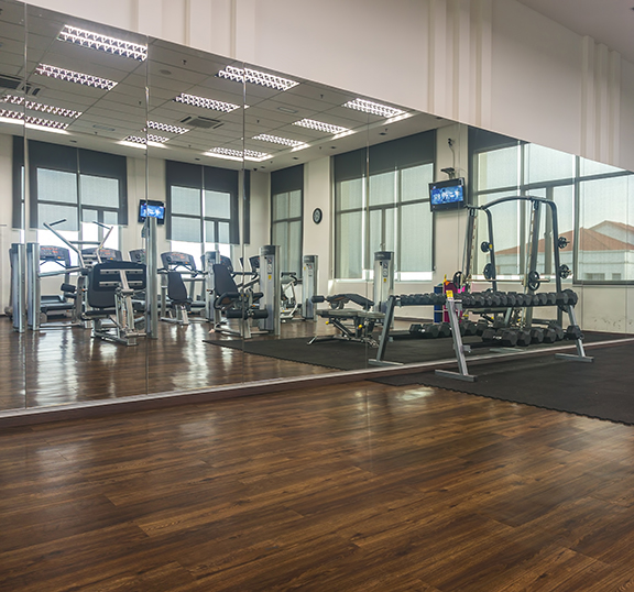 The Glass Guru | 17163 102 Ave, Surrey, BC V4N 3L4, Canada | Phone: (604) 923-6194