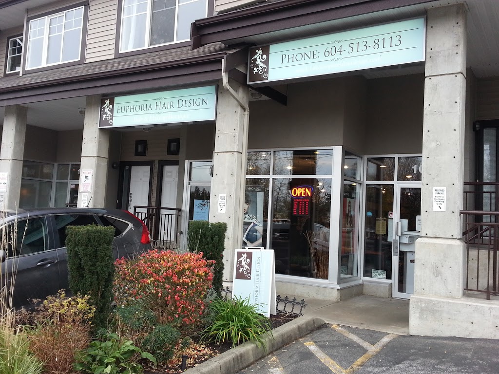 Euphoria Hair Design | 104 8814 216 St, Langley City, BC V1M 2Z9, Canada | Phone: (604) 513-8113