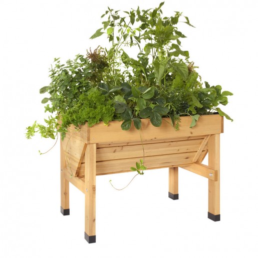 Allplanters.com (New York) | 6040 N Bailey Ave #200, Buffalo, NY 14226, USA | Phone: (888) 602-9995
