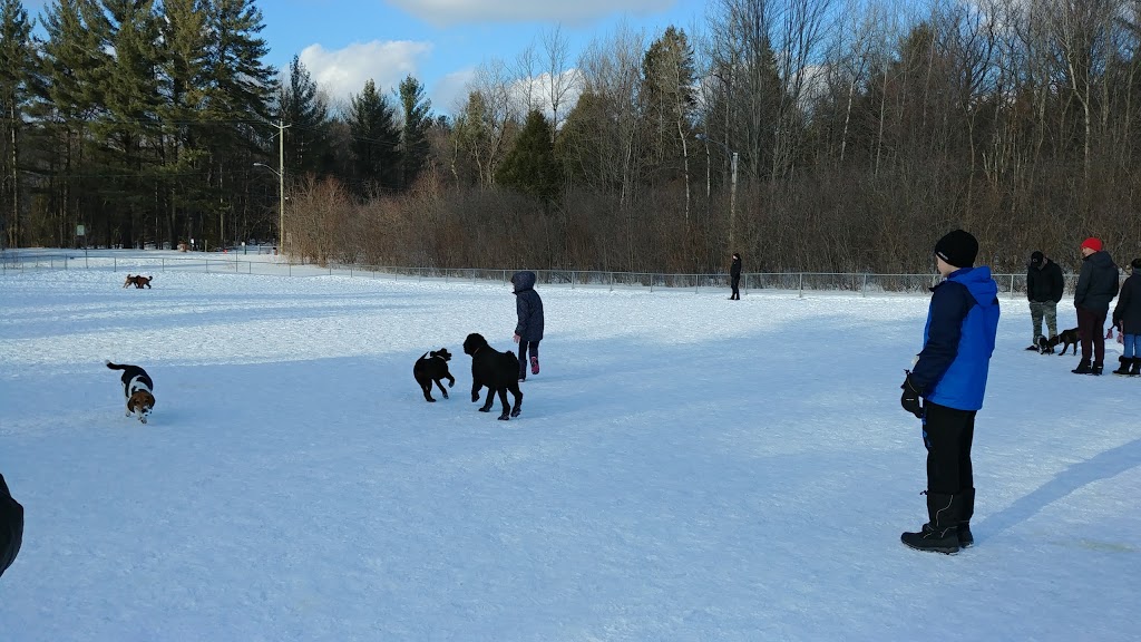 Dog Park | 3300 Rue Frédéric-Paré, Sherbrooke, QC J1K 3B9, Canada