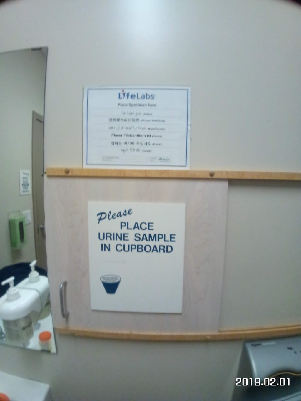LifeLabs Medical Laboratory Services | 6345 120 St #122, Delta, BC V4E 2A6, Canada | Phone: (604) 431-7206