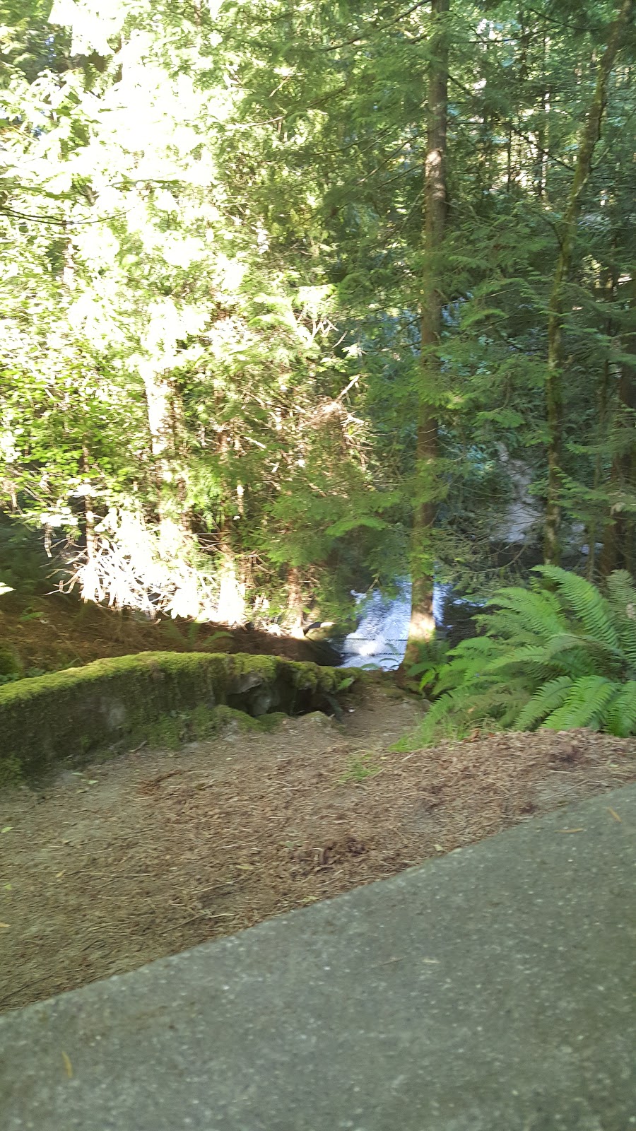 Cascade Inn | 208 N Samish Way, Bellingham, WA 98225, USA | Phone: (360) 733-2520