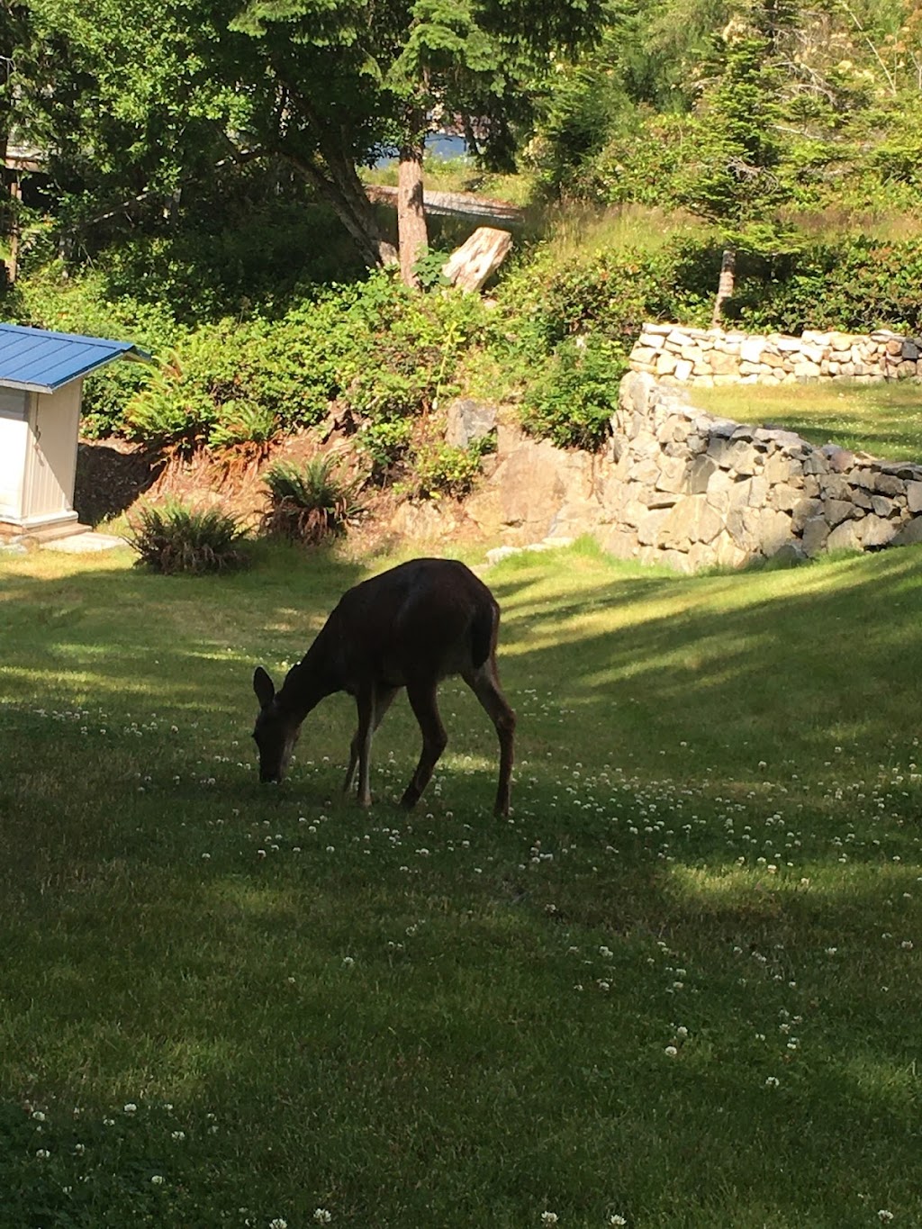 Bubble Camp RV Camping | 7389 Tapp Rd, Halfmoon Bay, BC V0N 1Y1, Canada | Phone: (778) 317-9788