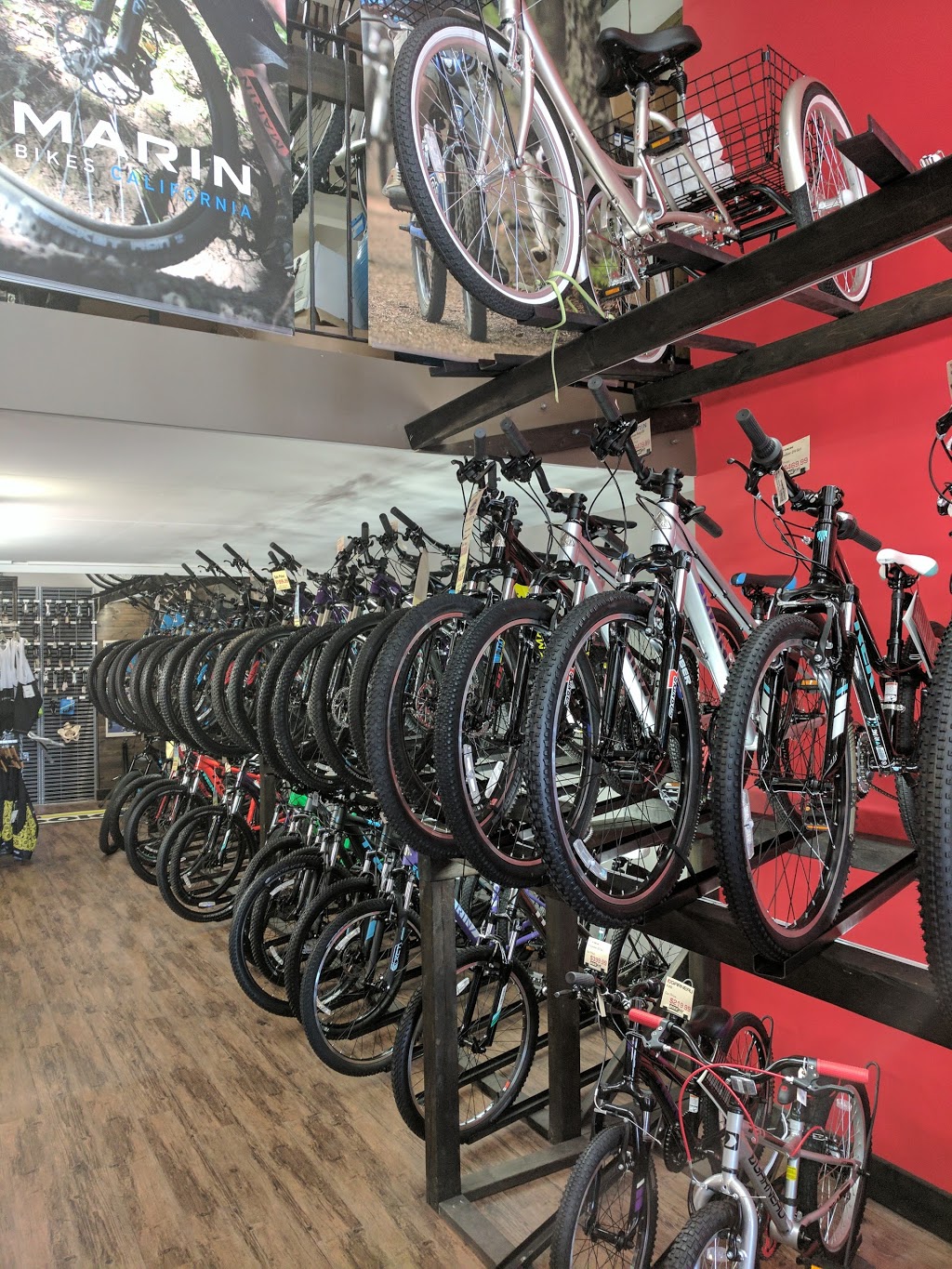 Bikefit | 184 Scott St, St. Catharines, ON L2N 1H1, Canada | Phone: (905) 646-9396