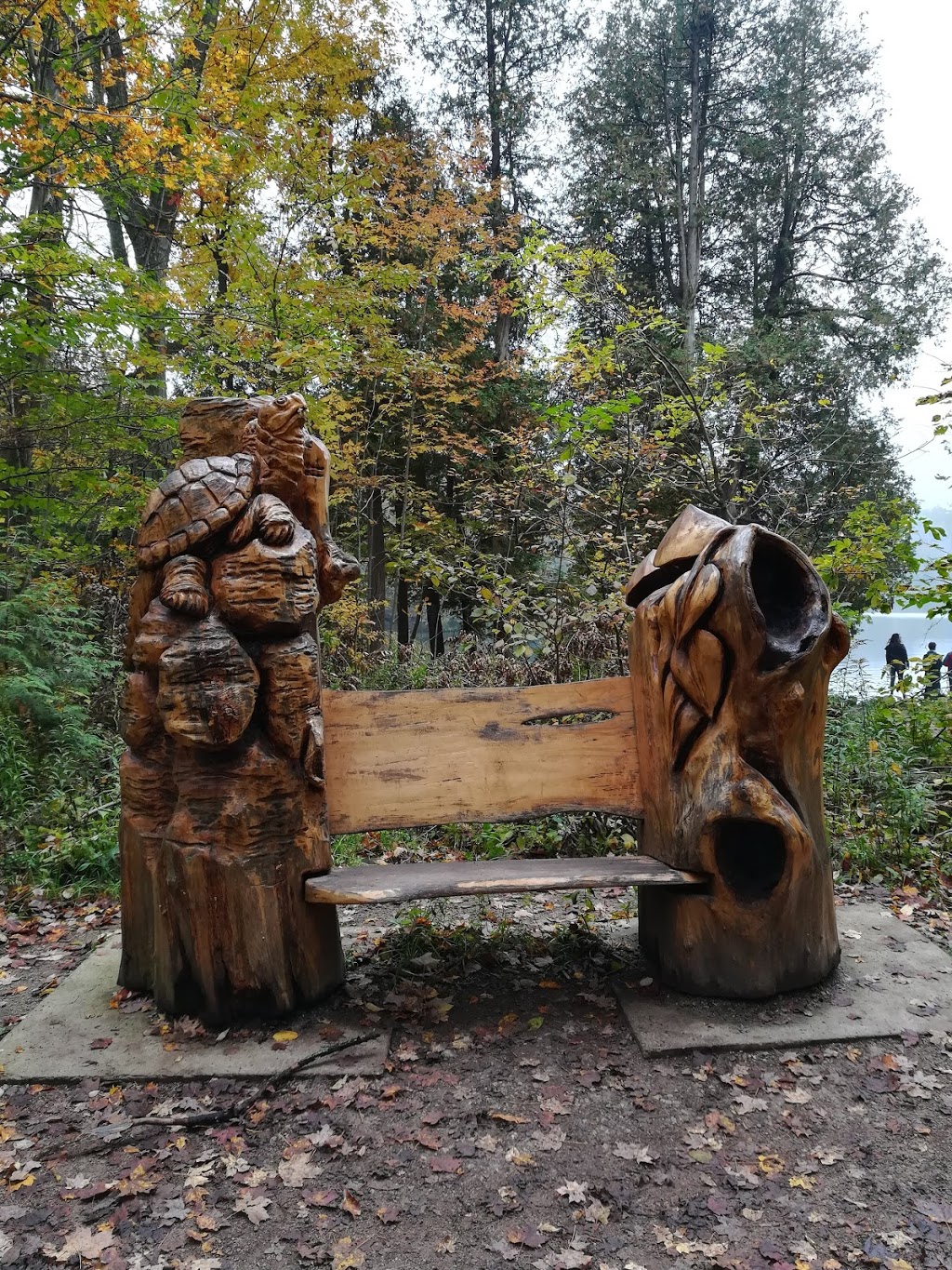 Crawford Lake Conservation Area | 3115 Conservation Rd, Milton, ON L9T 2X3, Canada | Phone: (905) 854-0234