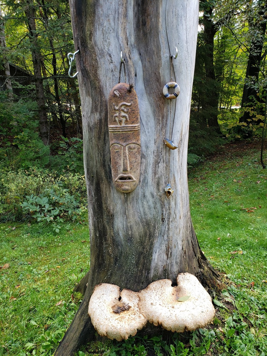Tucker Lake Camp | 29 Clear Lake Rd, Parry Sound, ON P2A 2W8, Canada | Phone: (705) 375-2518