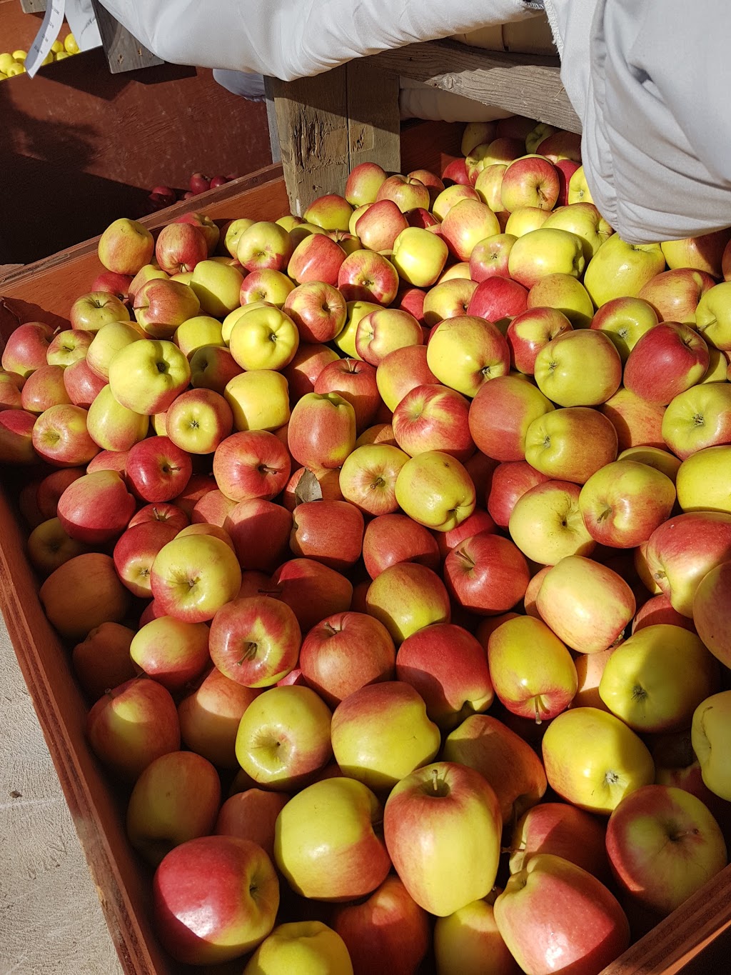 Hewitts Farm Market & Bakery | 3331 Town Line, Coldwater, ON L0K 1E0, Canada | Phone: (705) 325-3000