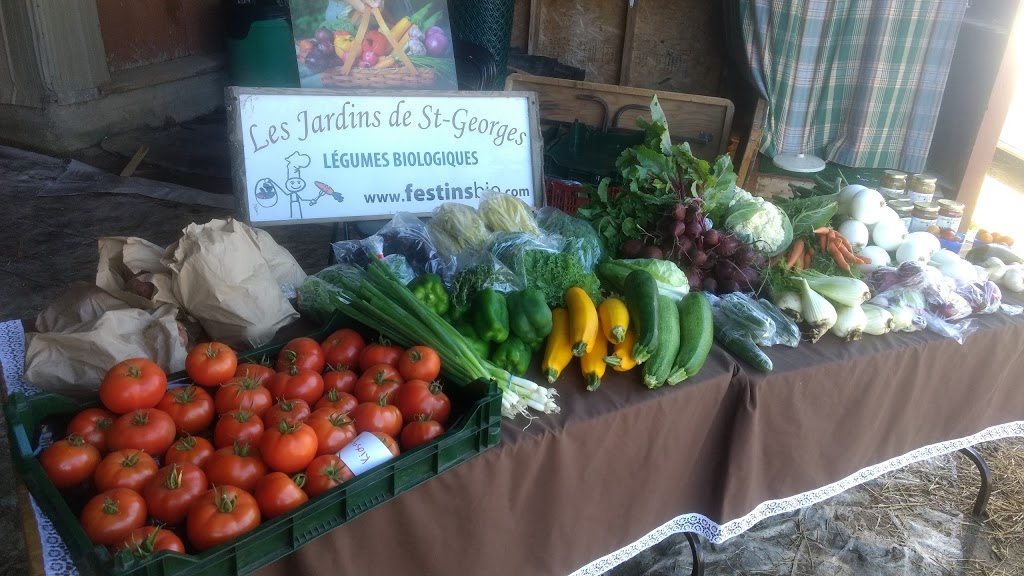 LES JARDINS DE ST-GEORGES | 2880 Chemin Petit St Georges, Sainte-Thècle, QC G0X 3G0, Canada | Phone: (418) 507-3705