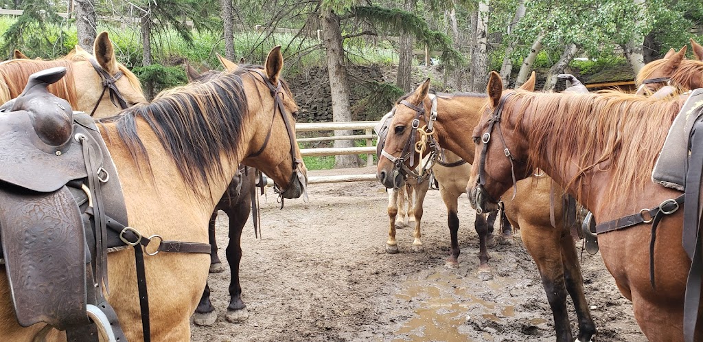 Banff Trail Riders - Corrals | Spray Ave, Banff, AB T1L 1B3, Canada | Phone: (403) 762-4551
