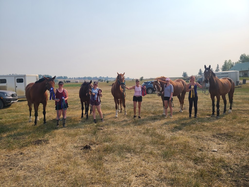 Nowell Equine | 274188, Range Rd 20, AB T4B 4M4, Canada | Phone: (403) 996-4456