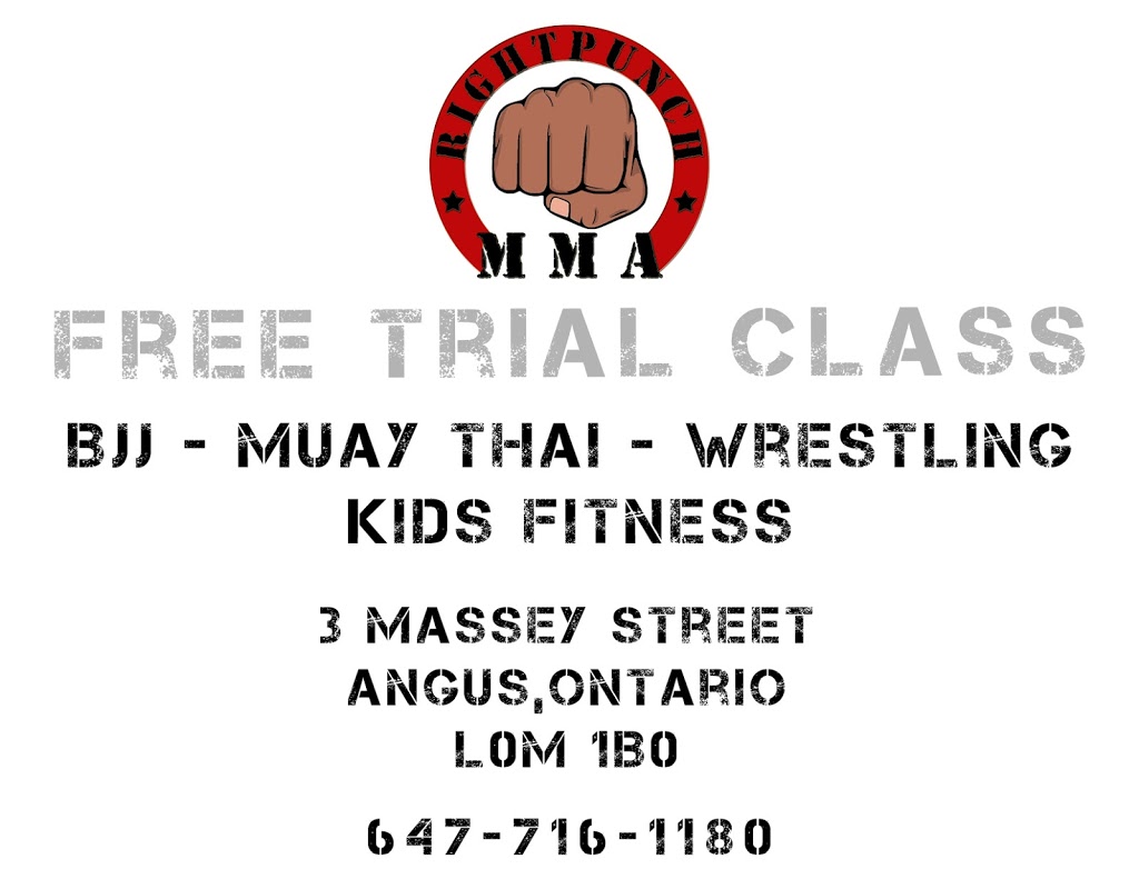 RightPunch MMA | 3 Massey St unit #7, Angus, ON L0M 1B0, Canada | Phone: (647) 807-1180
