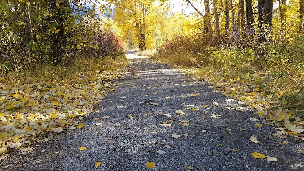 Snow Valley Guiding Inc | 20 Park Ave, Fernie, BC V0B 1M3, Canada | Phone: (250) 423-8644