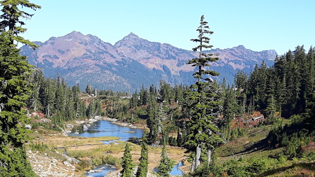 Mount Baker Visitor Center | 7509 Mt Baker Hwy, Maple Falls, WA 98266, USA | Phone: (360) 599-1518