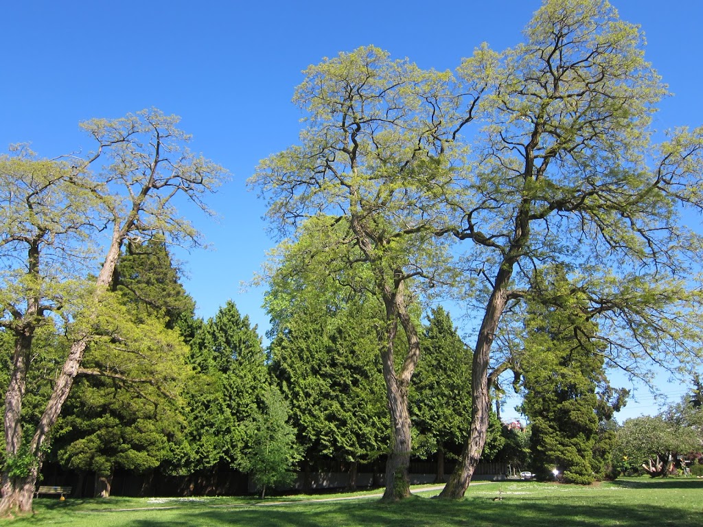 Volunteer Park | 2855 Point Grey Rd, Vancouver, BC V6K 1A7, Canada | Phone: (604) 257-8400