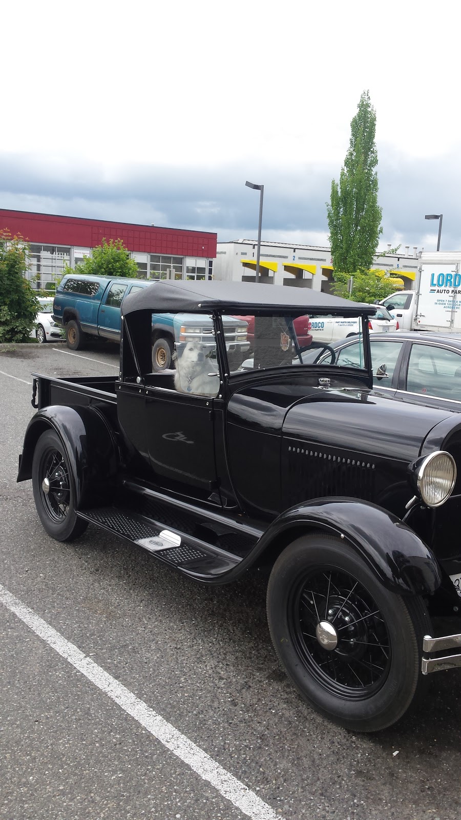 LORDCO Langley | 5825 200 St, Langley City, BC V3A 1M7, Canada | Phone: (604) 533-2444