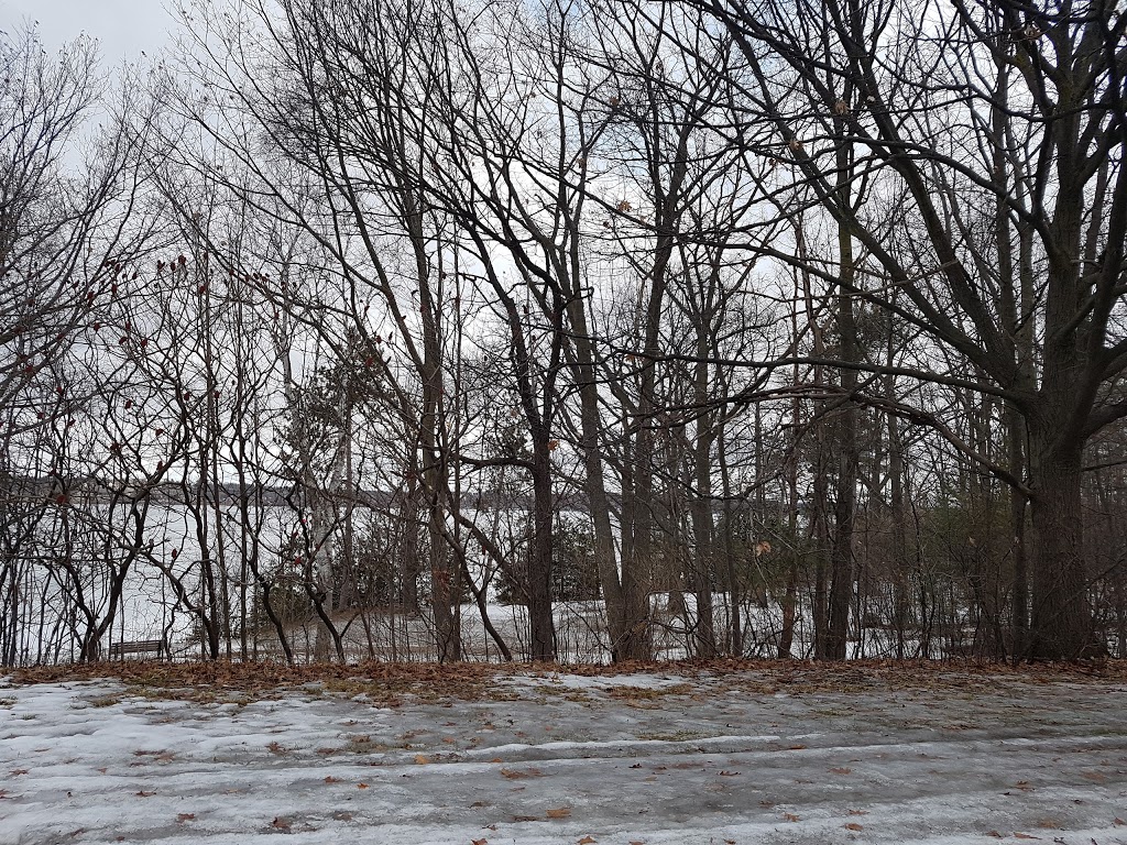 St. Vincent Park | 2-4 St Vincent St, Barrie, ON L4M 3Y2, Canada
