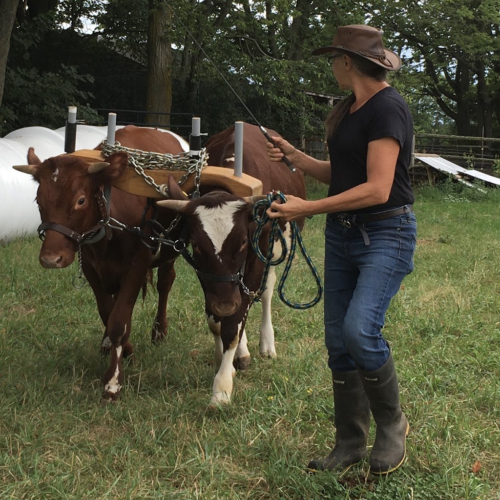Plainfield Heritage Farm | 105 Shannon Rd, Plainfield, ON K0K 2V0, Canada | Phone: (613) 403-6050