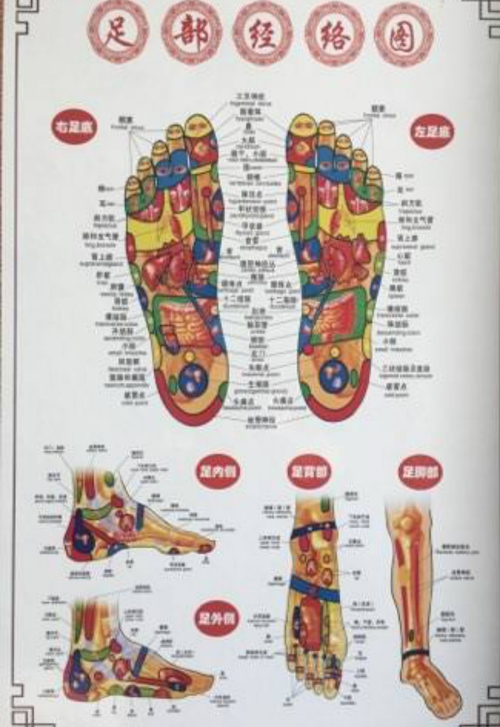 V8 SPA | 615A Somerset St W, Ottawa, ON K1R 5K3, Canada | Phone: (437) 231-5516