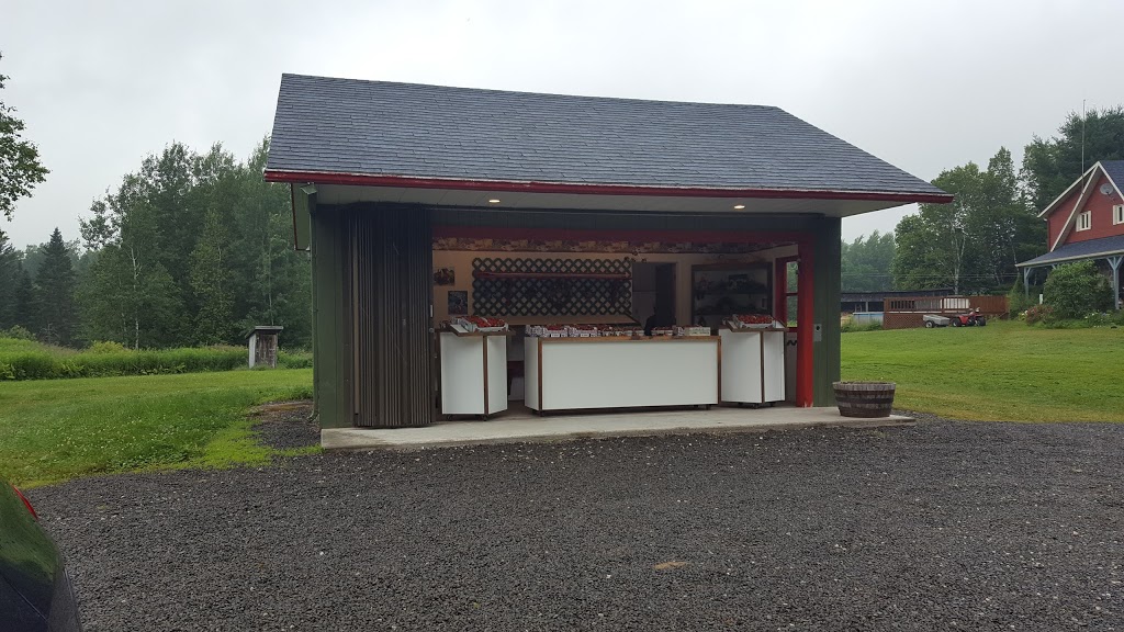 Ferme Rénald Ayotte | 2900 Chemin du Lac, Saint-Boniface, QC G0X 2L0, Canada | Phone: (819) 535-3180