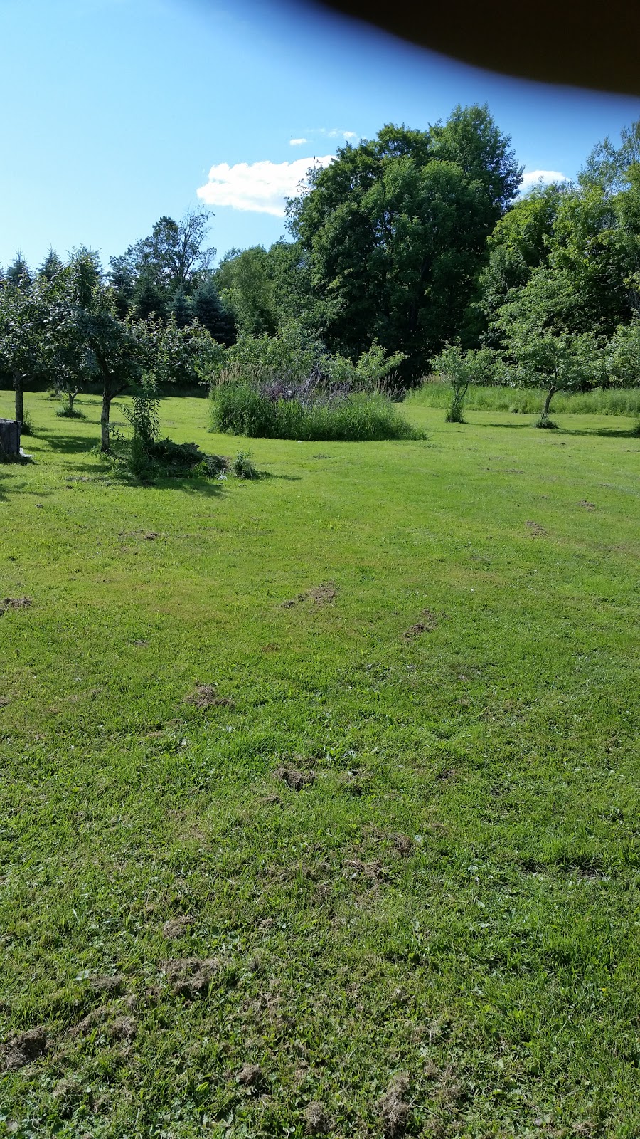 Rootys Apple Orchard | 1581 Parker Rd, Newport, VT 05855, USA | Phone: (806) 754-6853
