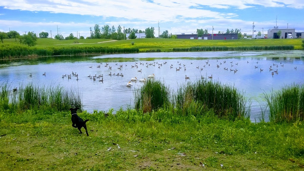 Woodsworth Park | Oak Point Highway, Winnipeg, MB R2R, Canada