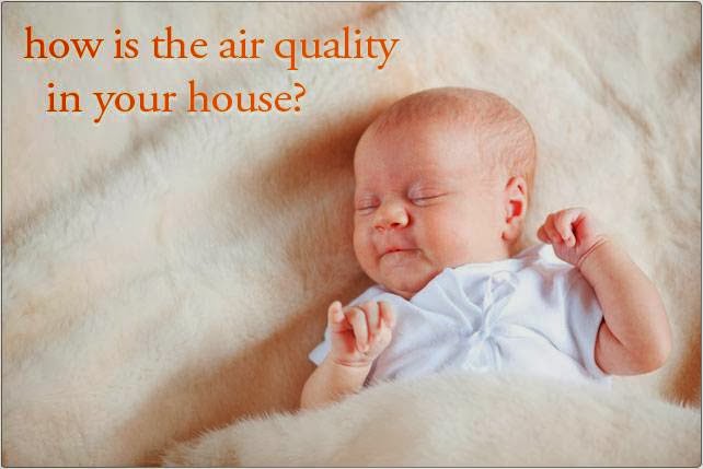 Citrus-O Carpet Care | 12049 86 Ave, Surrey, BC V3W 7X5, Canada | Phone: (855) 248-7875
