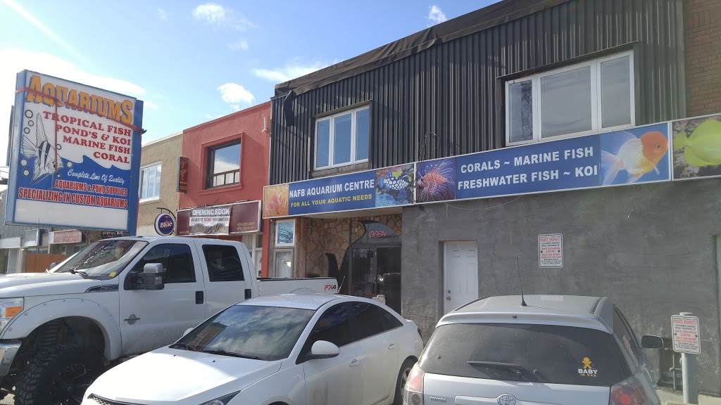 NAFB Aquarium Centre | 2260 Kingston Rd, Scarborough, ON M1N 1T9, Canada | Phone: (416) 267-7252