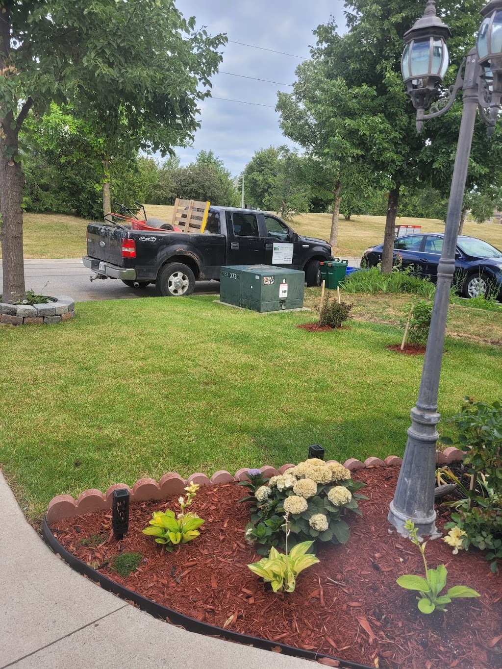 GREENER LAND | 40 Brookview Rd, Brampton, ON L6X 2V9, Canada | Phone: (647) 766-9906