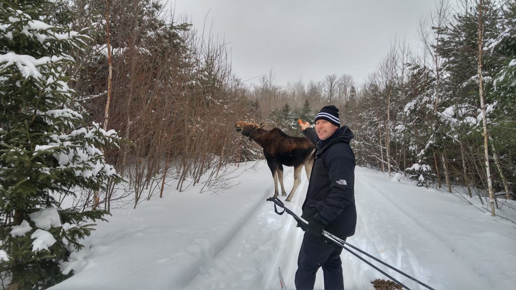 Parc Le Renouveau Rosaire-Sénécal | Chemin des Marronniers, Nominingue, QC J0W 1R0, Canada | Phone: (819) 278-3384 ext. 246
